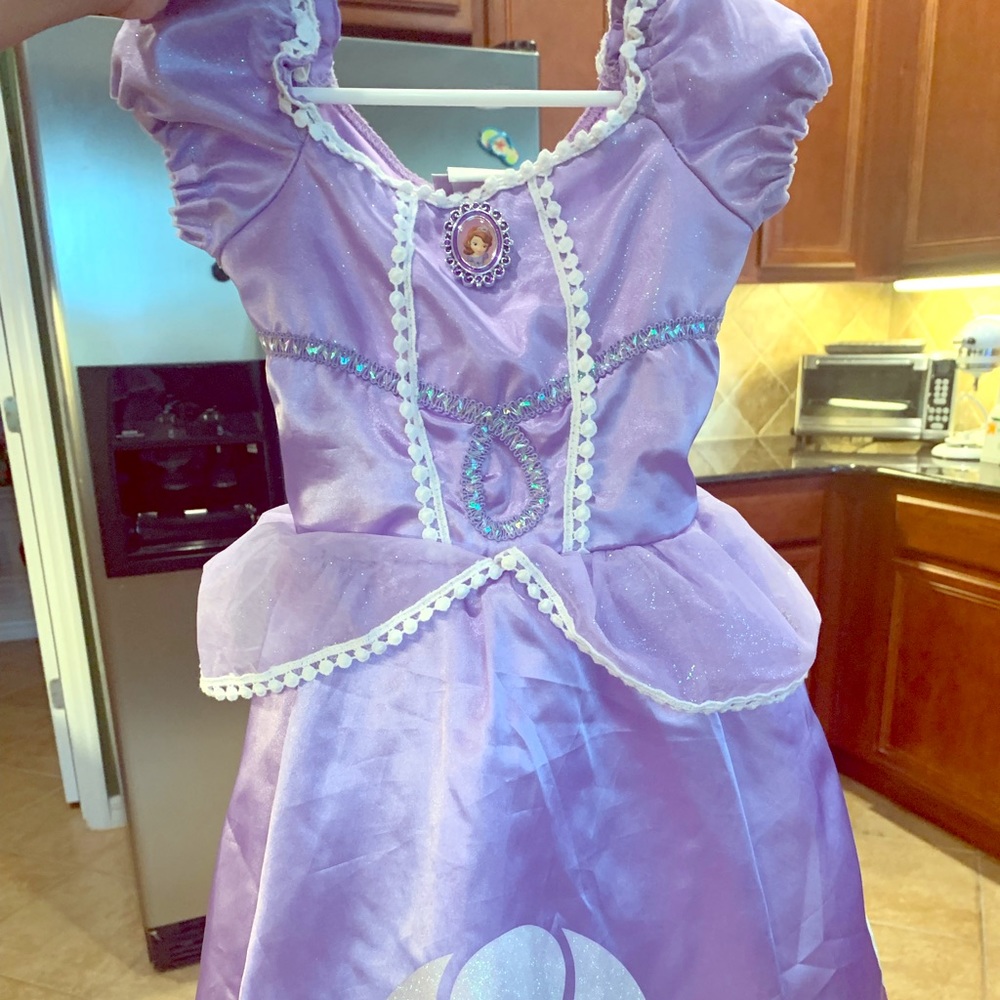 Disney Princess Sophia dress